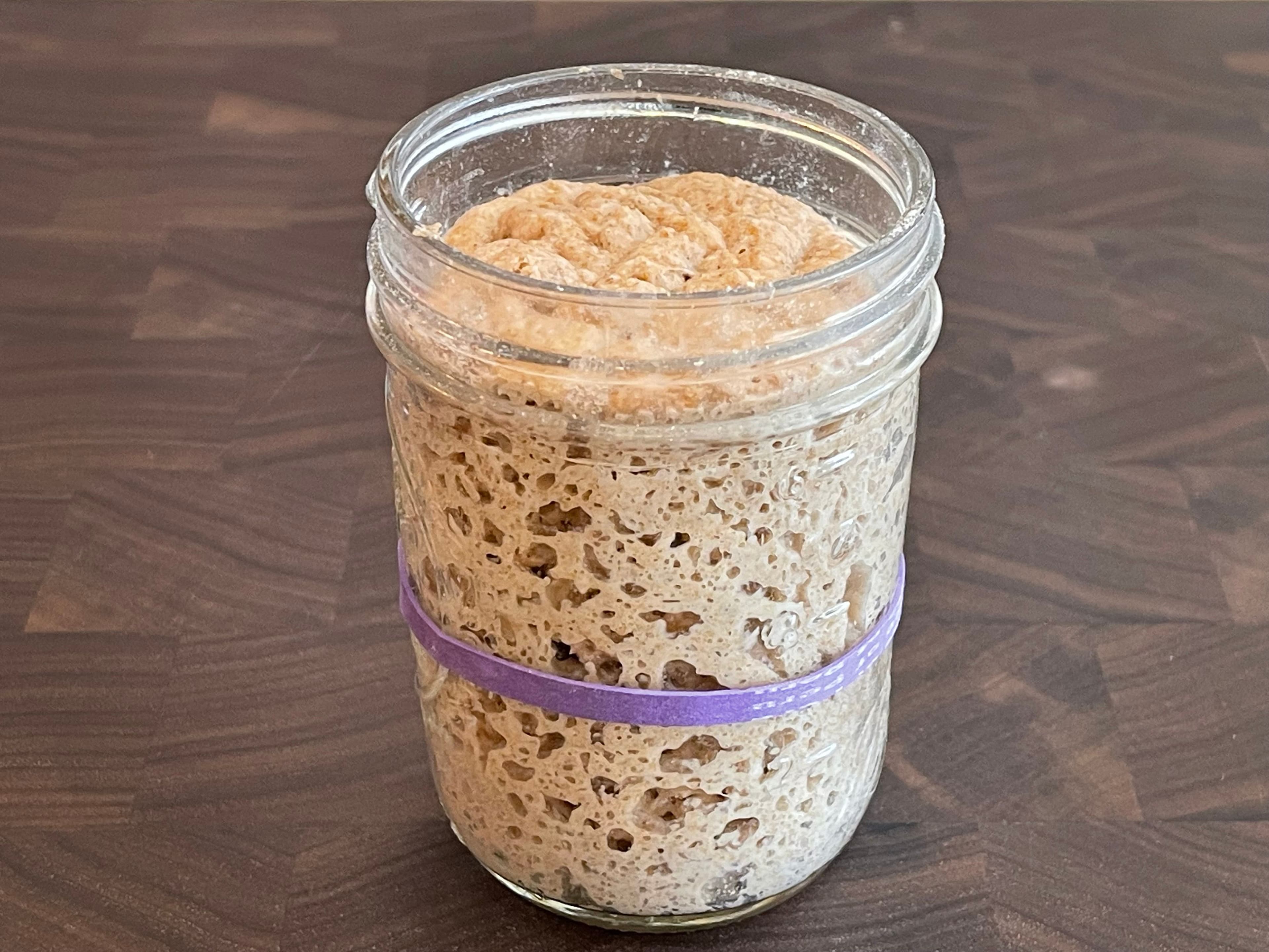 Sourdough Starter